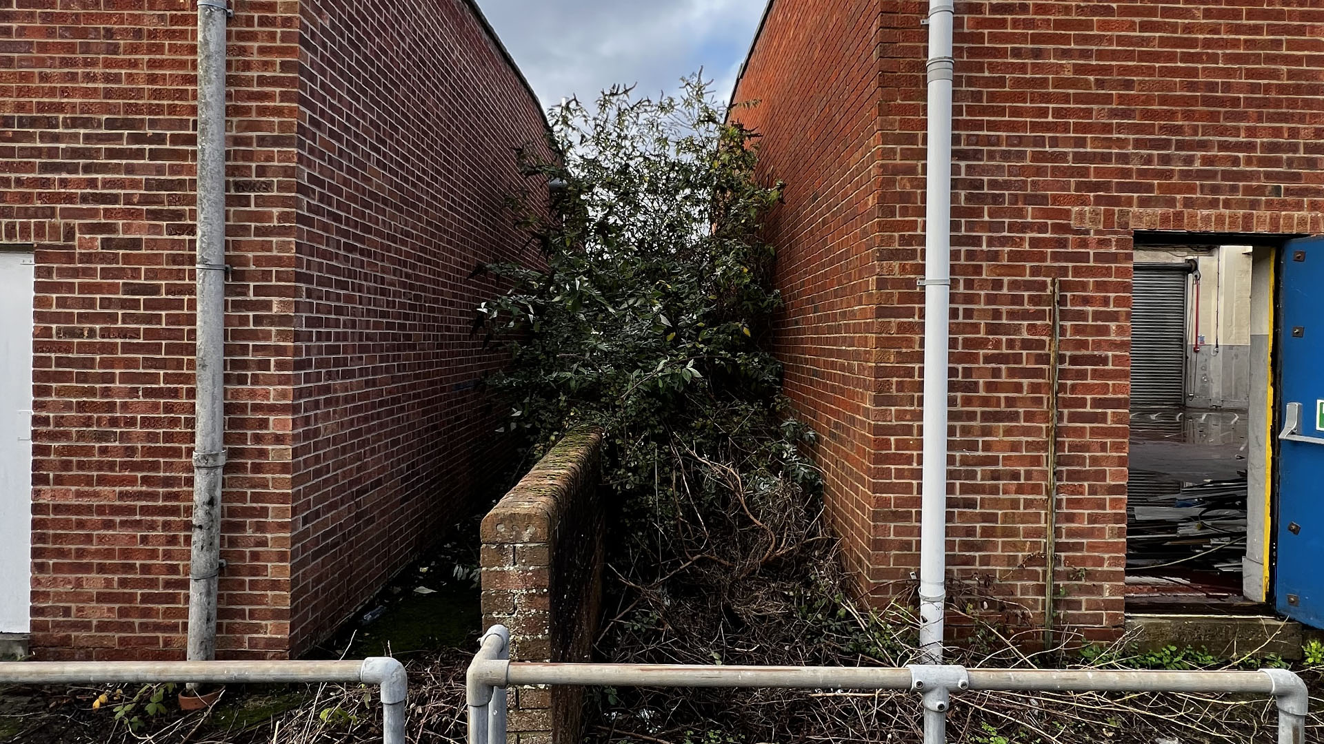 Who Should You Contact First — The Council, a Surveyor, or Your Neighbour Gloucester?